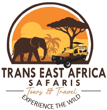 Trans East Africa Safaris
